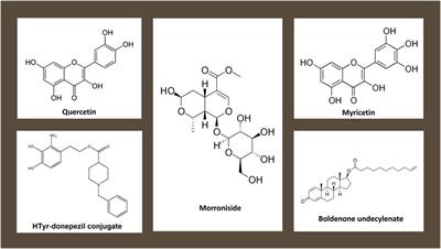 Editorial: Nature Inspired Protective Agents Against Oxidative Stress